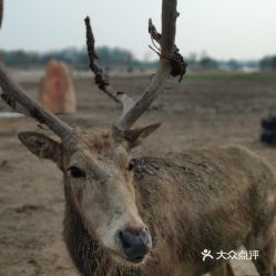 延吉野游去哪