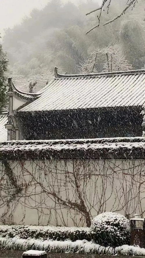 浙江横店影视城门票多少钱