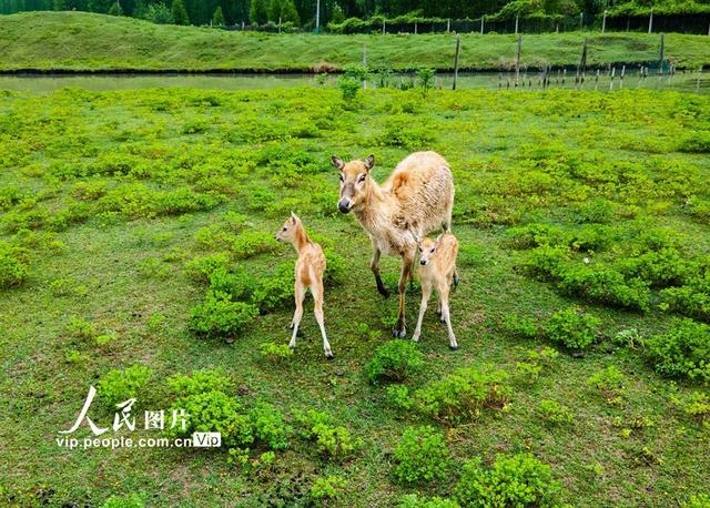 延吉旅行