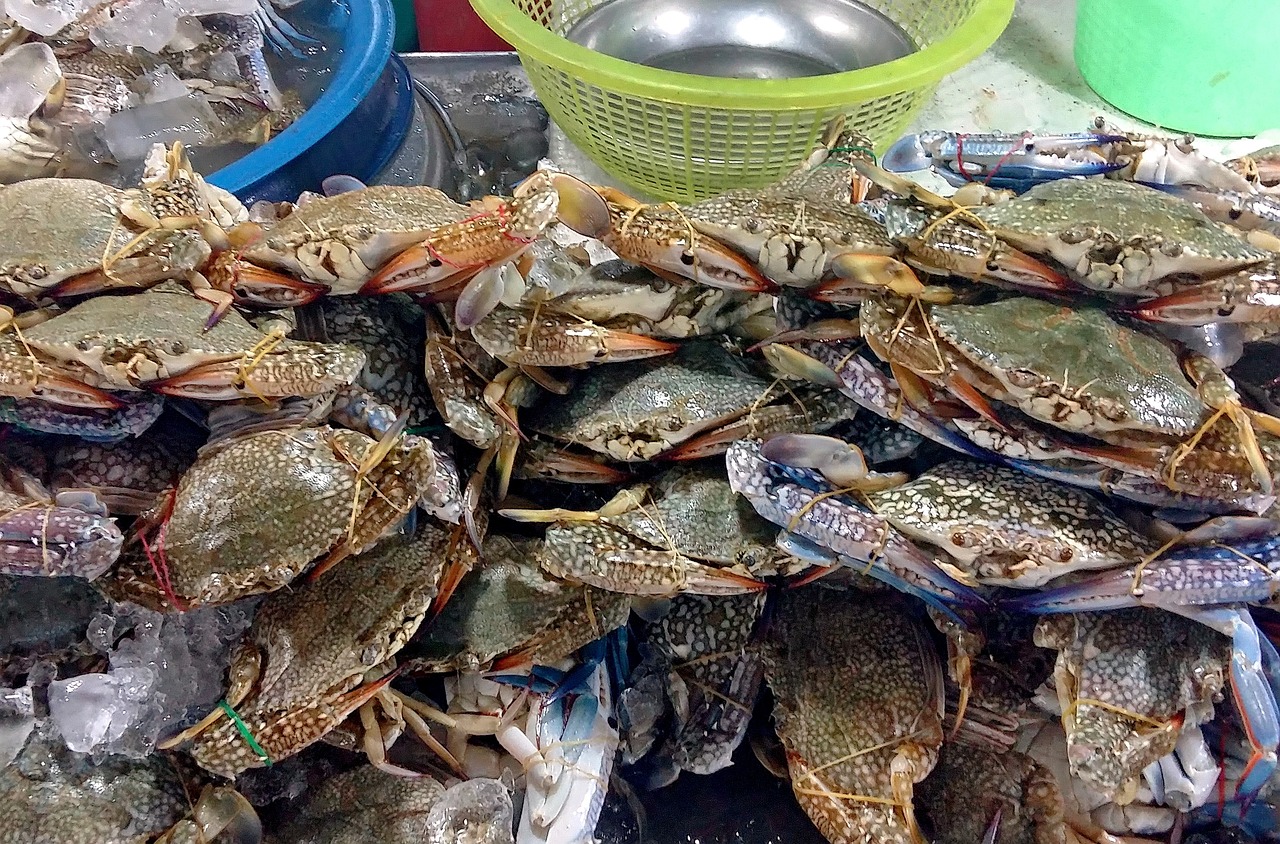 美食探秘无锡天鹏海鲜城，一场味蕾与海洋的浪漫邂逅