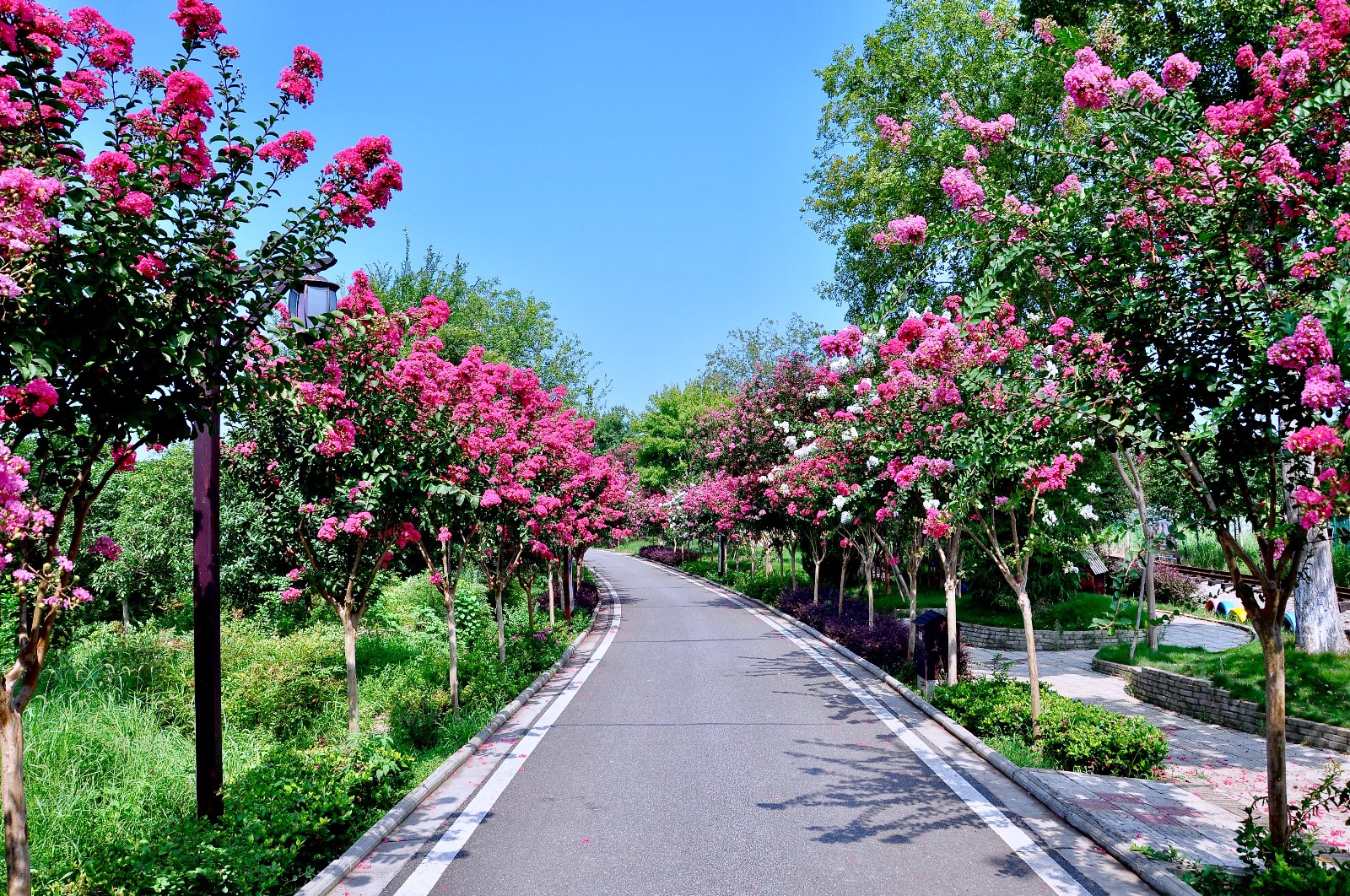 皖南川藏线：一条旅游路 铺开致富“途”